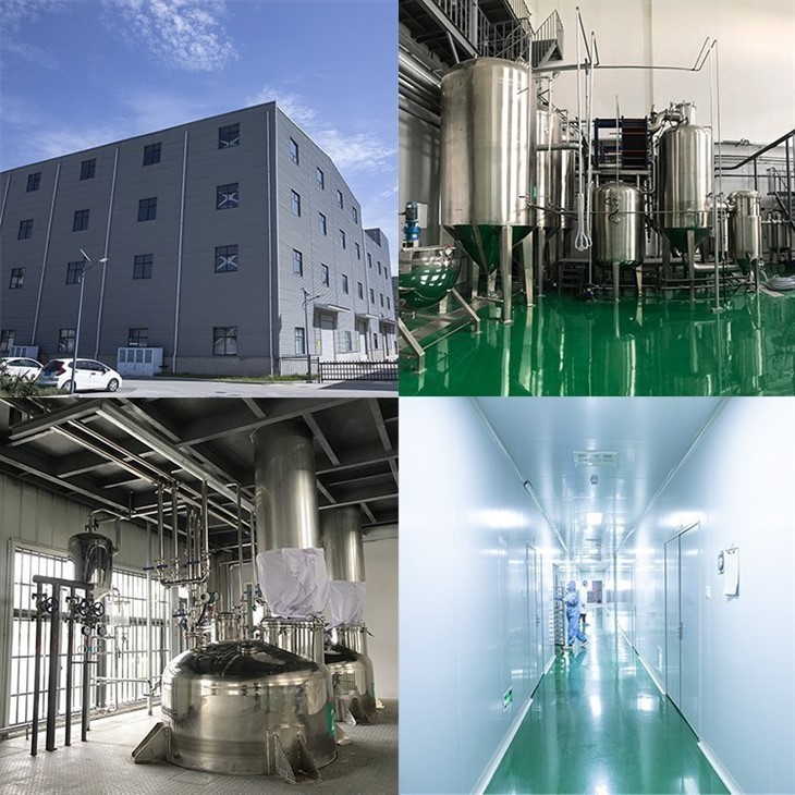 White Peony Root Extract suppliers